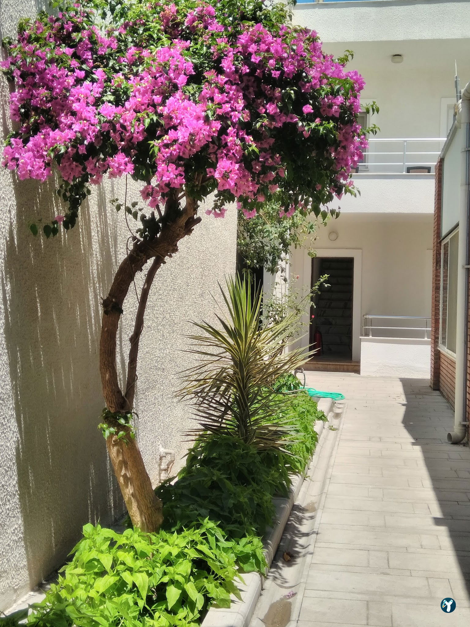 Costa Maya Hotel