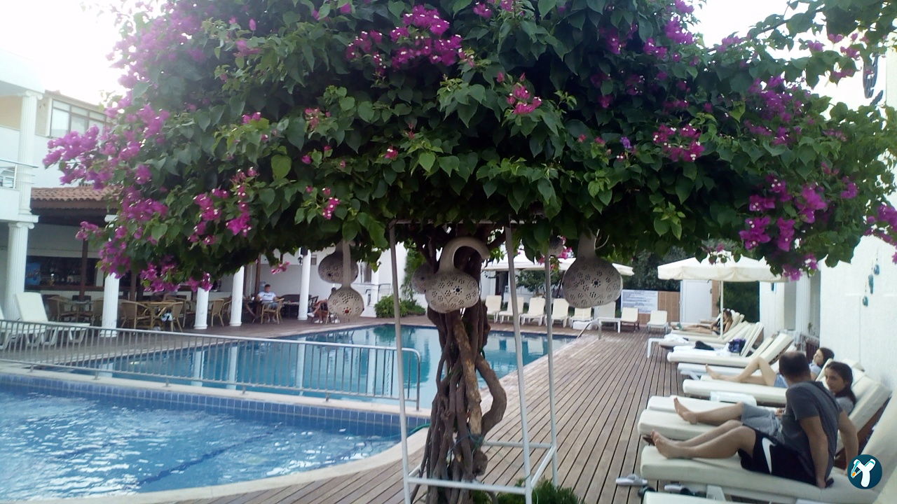 Costa Maya Hotel