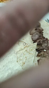 Eck Erzurum Cağ Kebap - Fati̇h /İstanbul Vatan Caddesi̇ resimleri