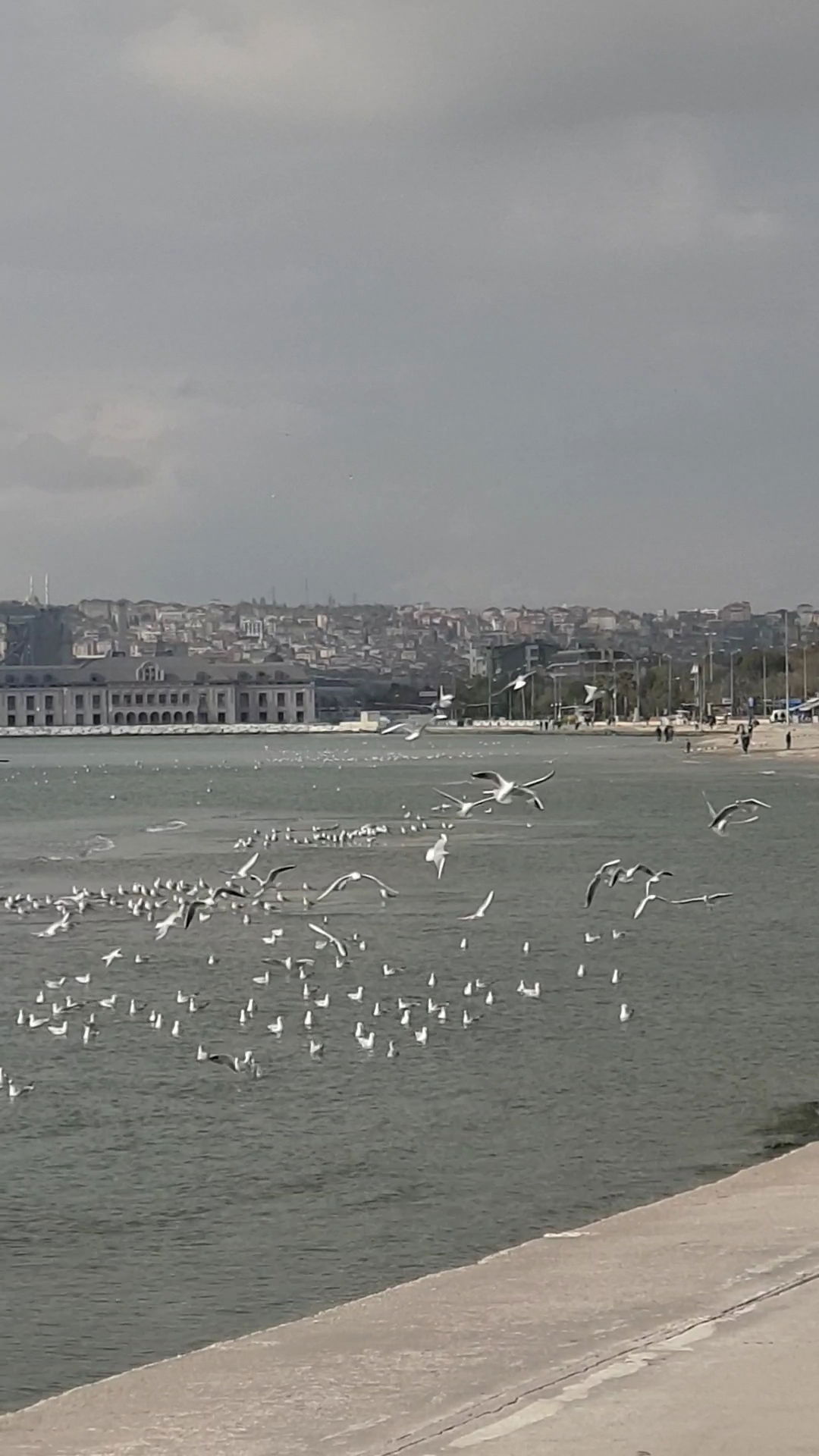 Vastello Cafe Restaurant Büyükçekmece