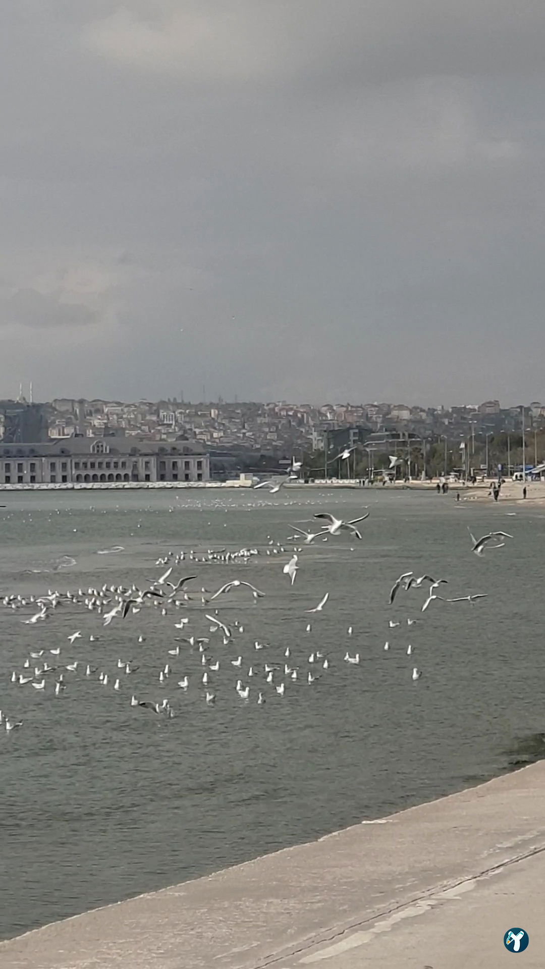 Vastello Cafe Restaurant Büyükçekmece