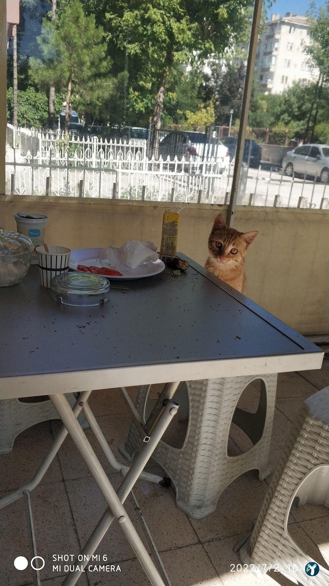 Buğday Çay Ocağı