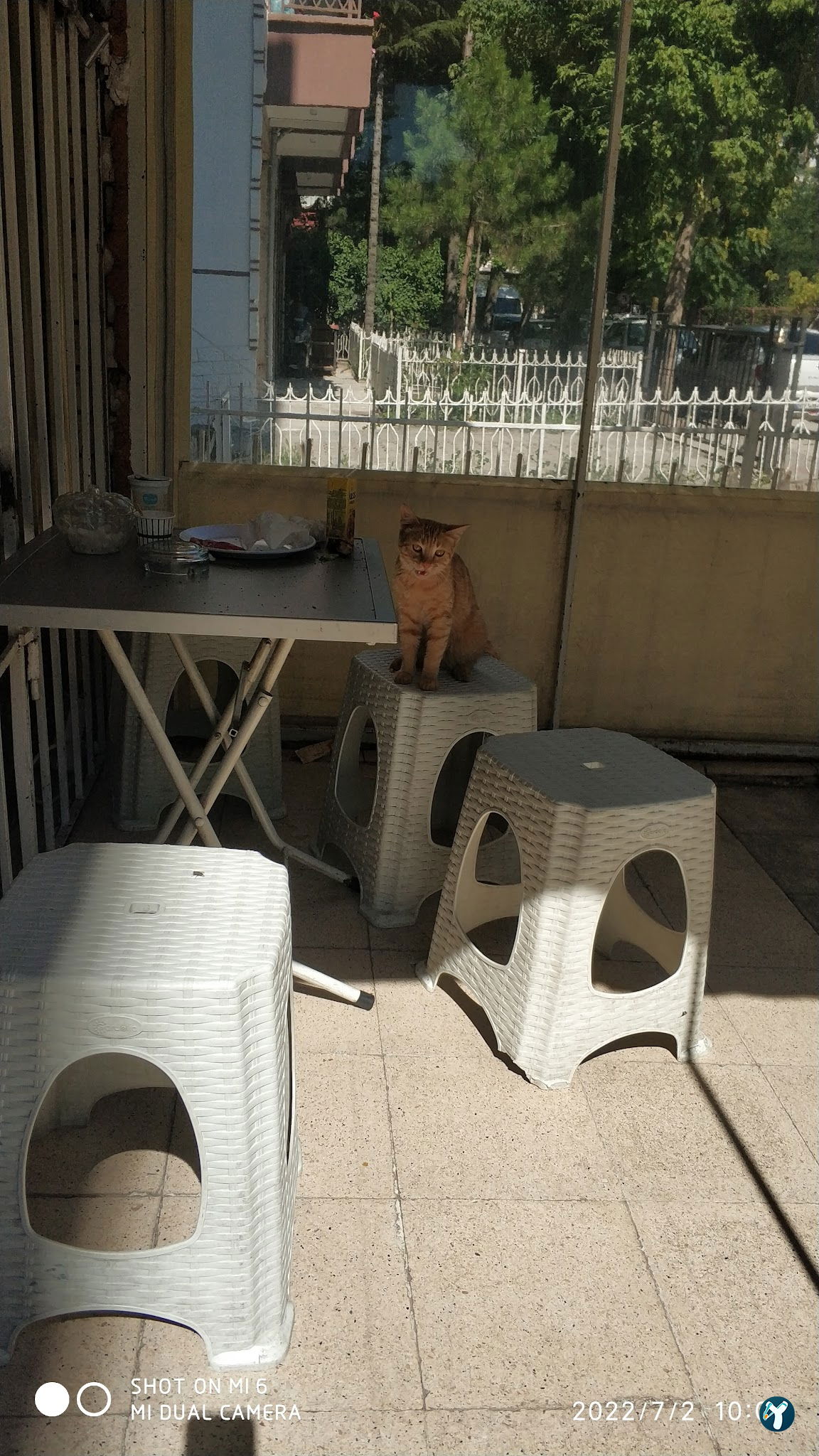 Buğday Çay Ocağı