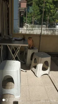 Buğday Çay Ocağı resimleri Buğday Çay Ocağı resimleri