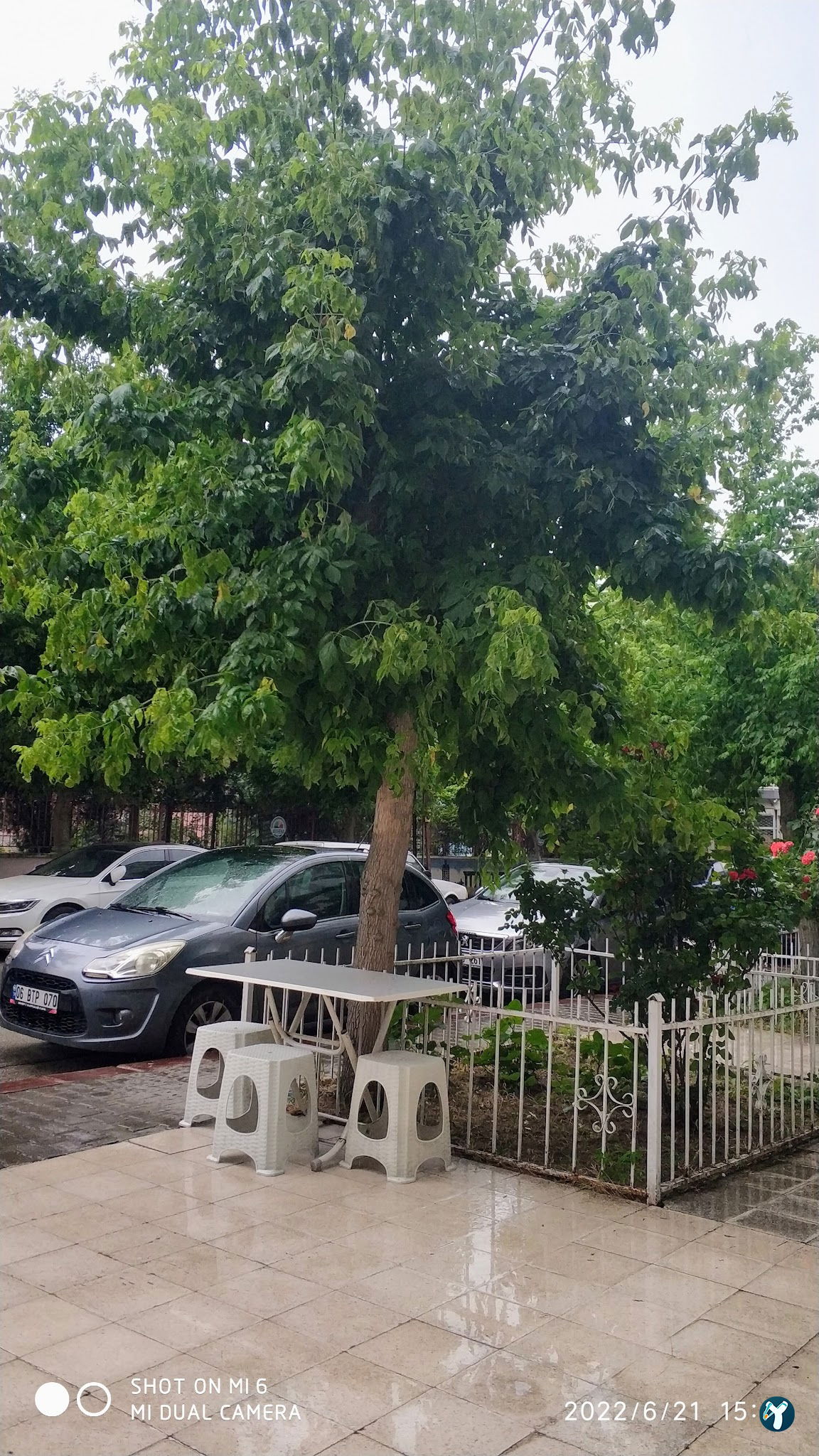Buğday Çay Ocağı