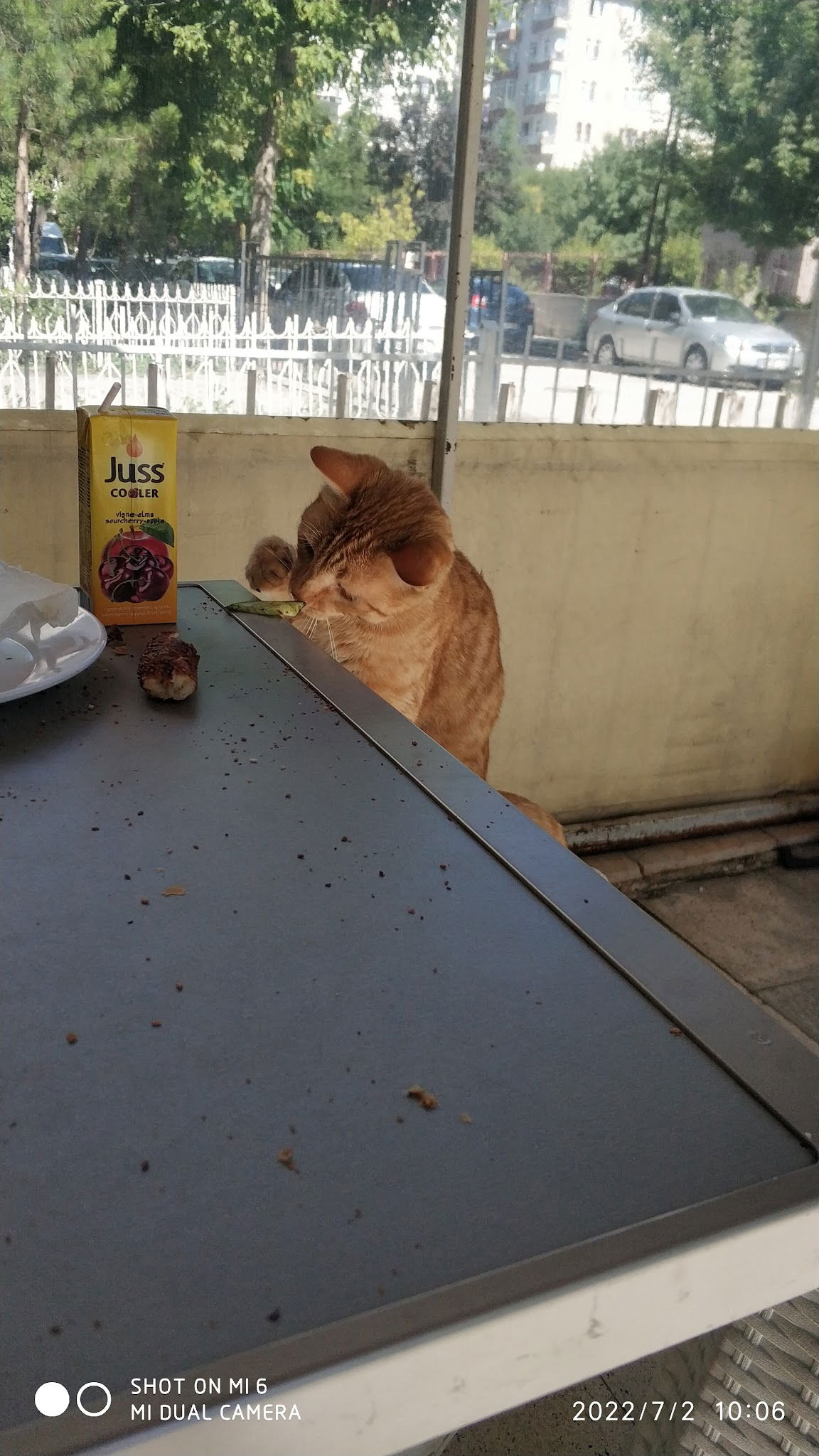 Buğday Çay Ocağı