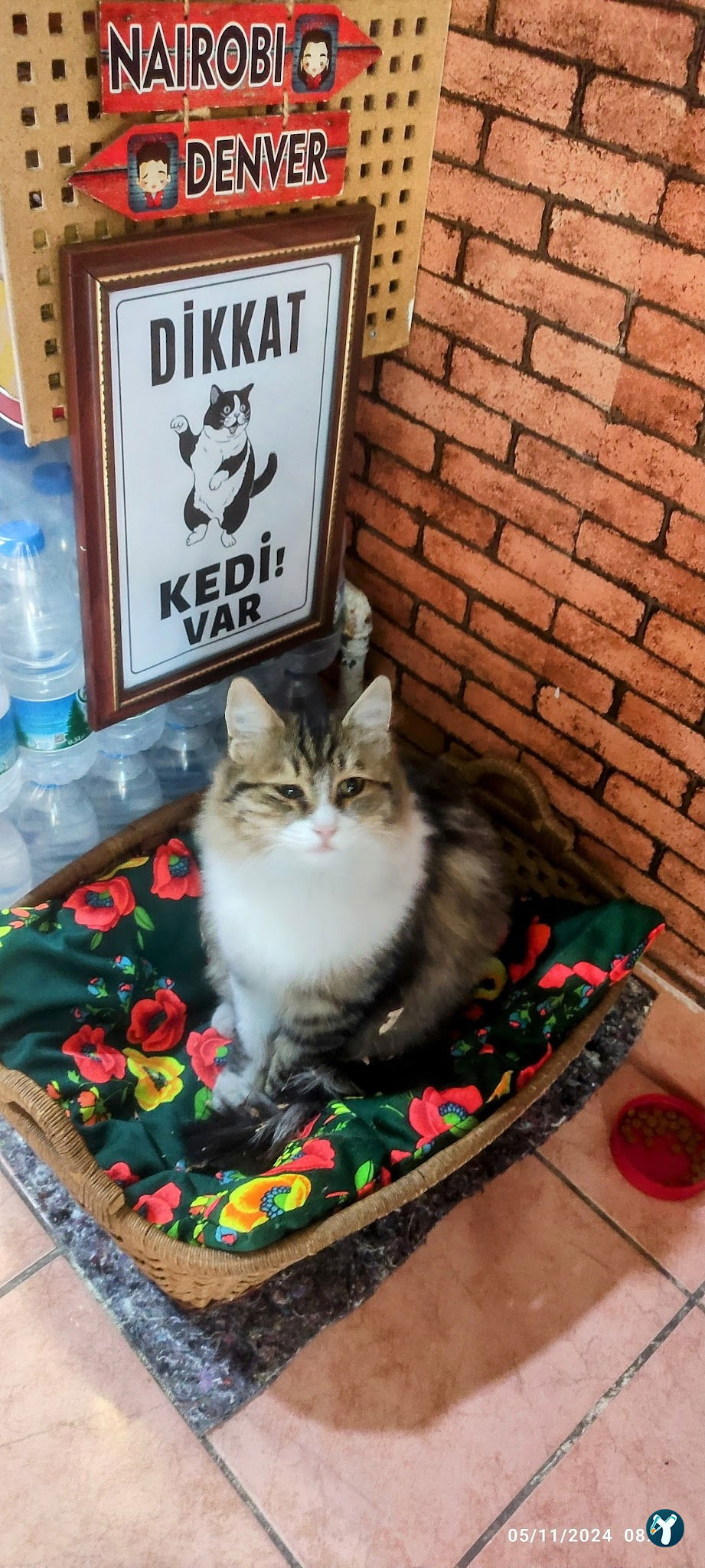 Buğday Çay Ocağı