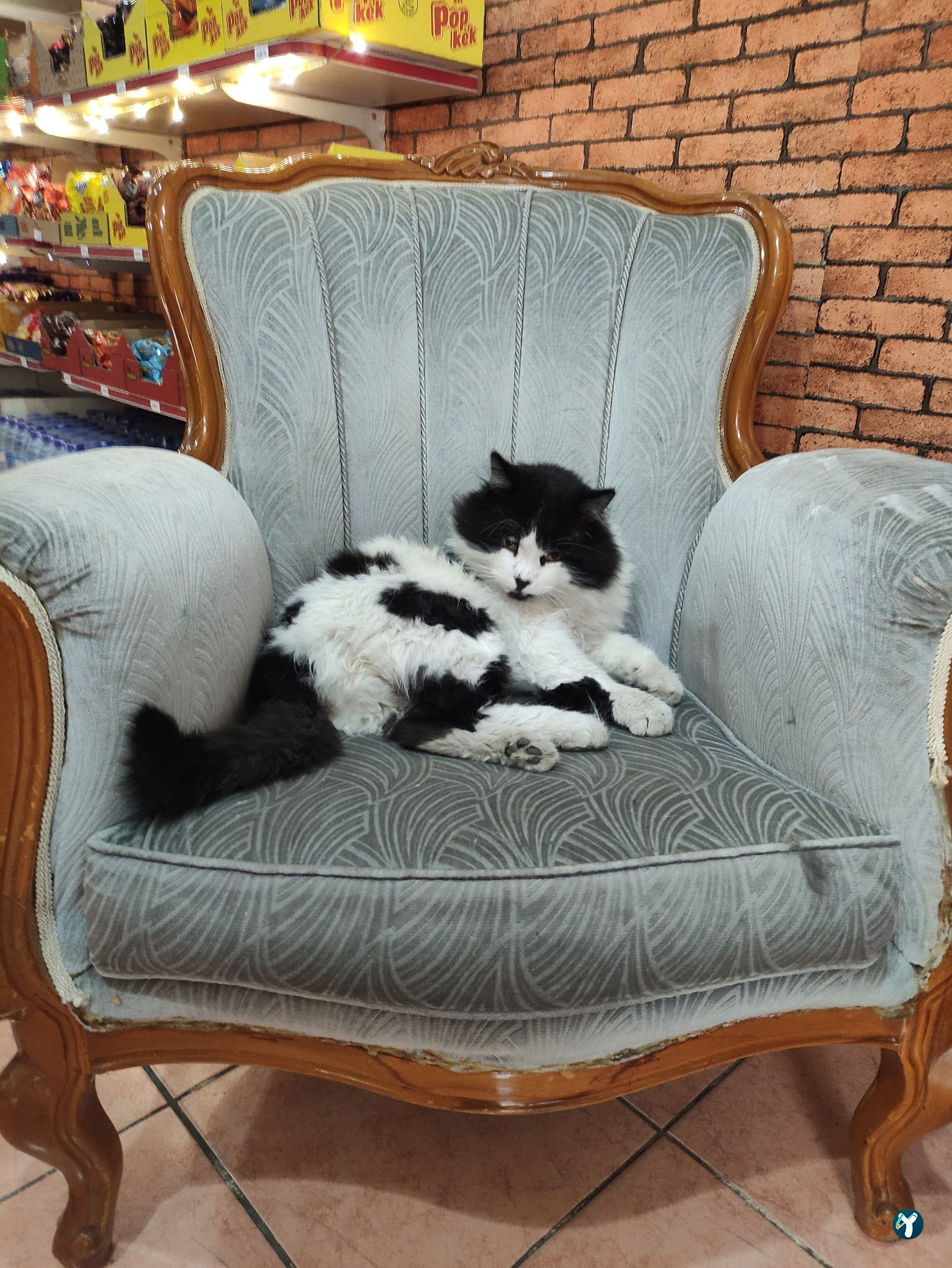 Buğday Çay Ocağı