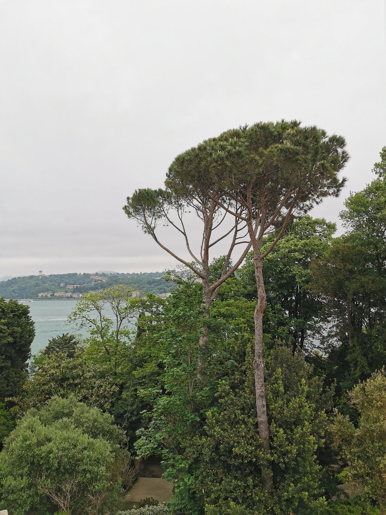 Msa Culinary School Restaurant