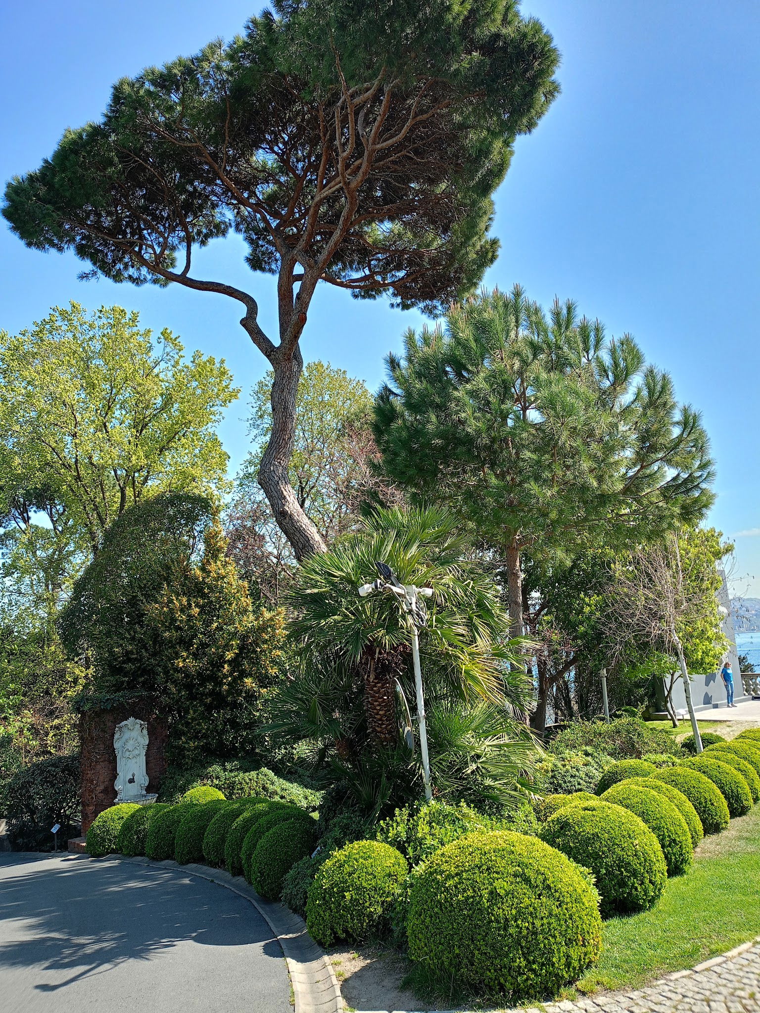 Msa Culinary School Restaurant