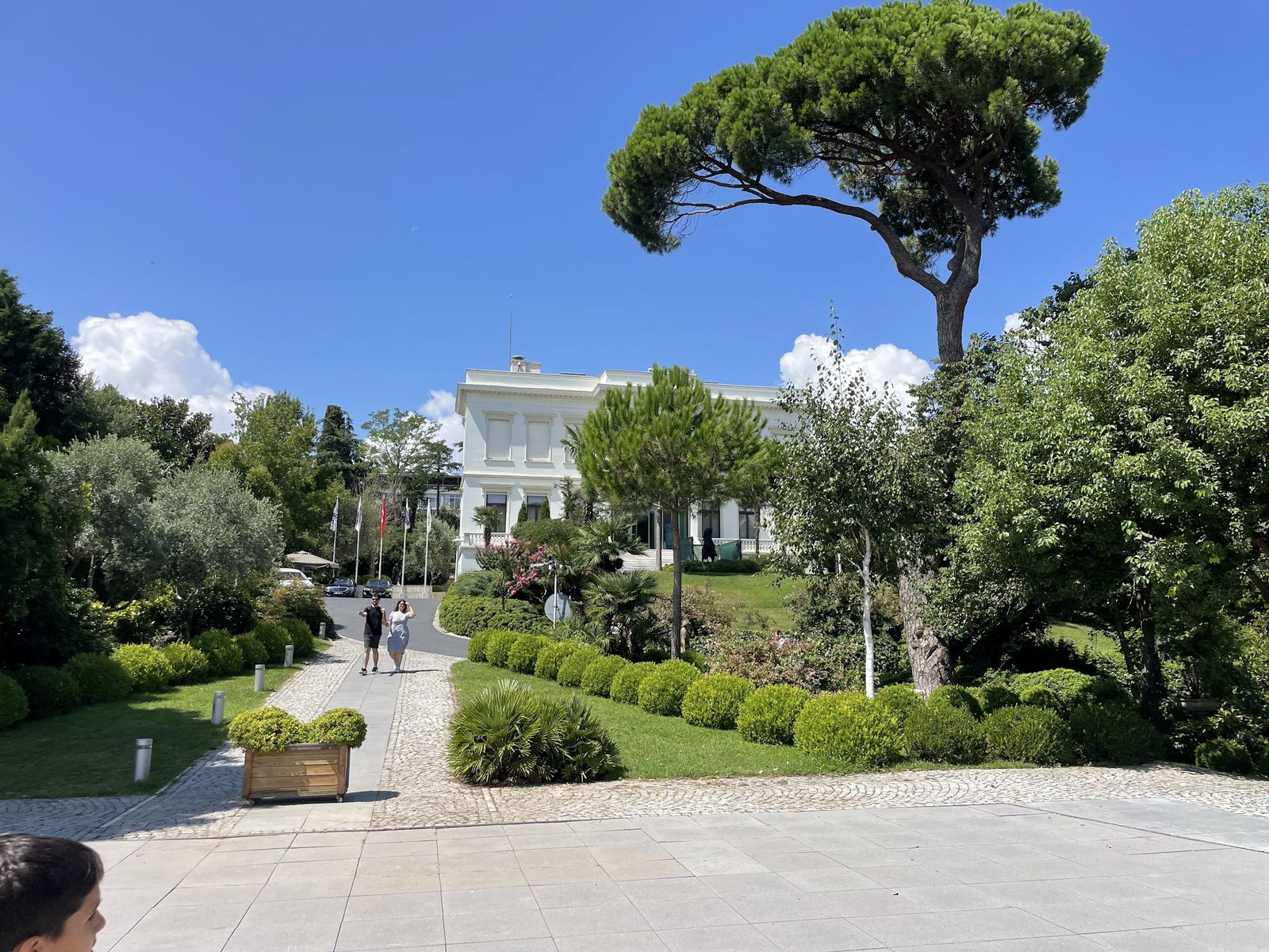 Msa Culinary School Restaurant