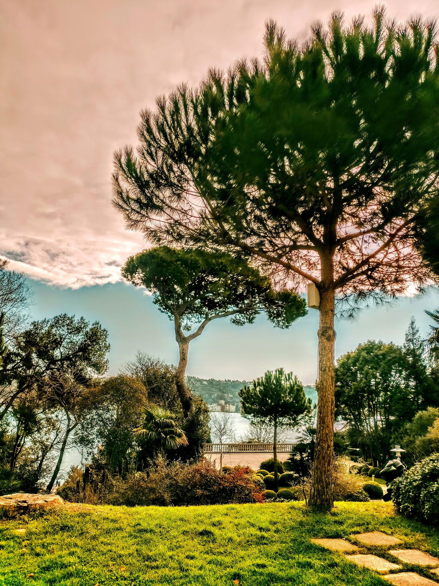 Msa Culinary School Restaurant