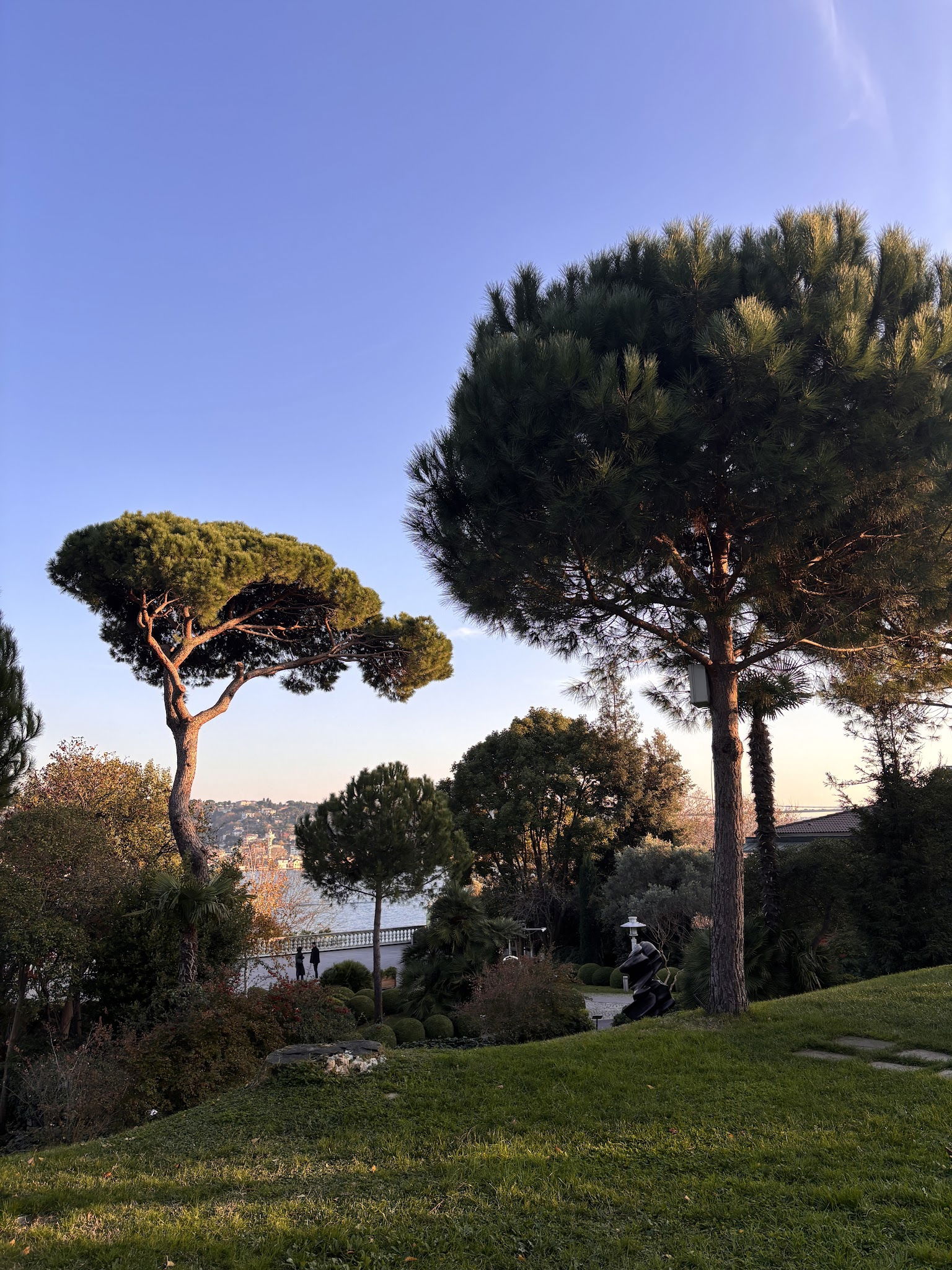 Msa Culinary School Restaurant