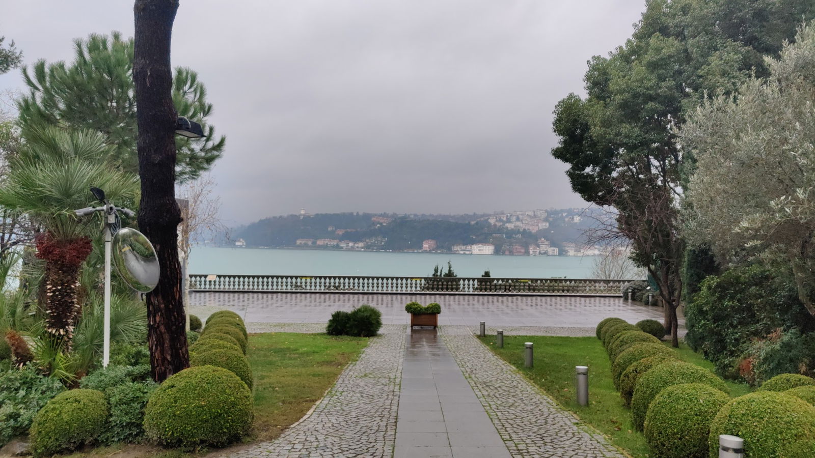 Msa Culinary School Restaurant