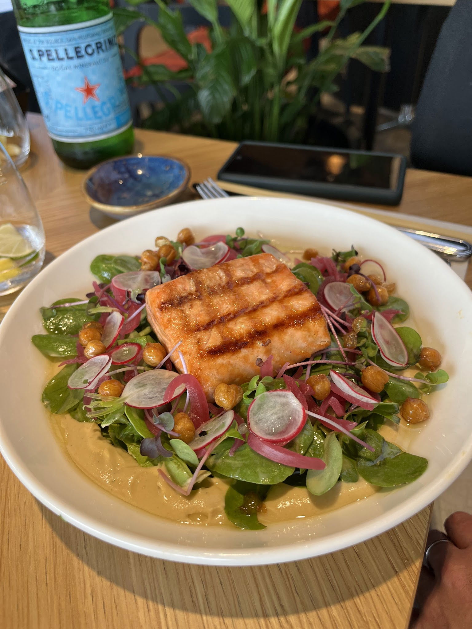 Msa Culinary School Restaurant