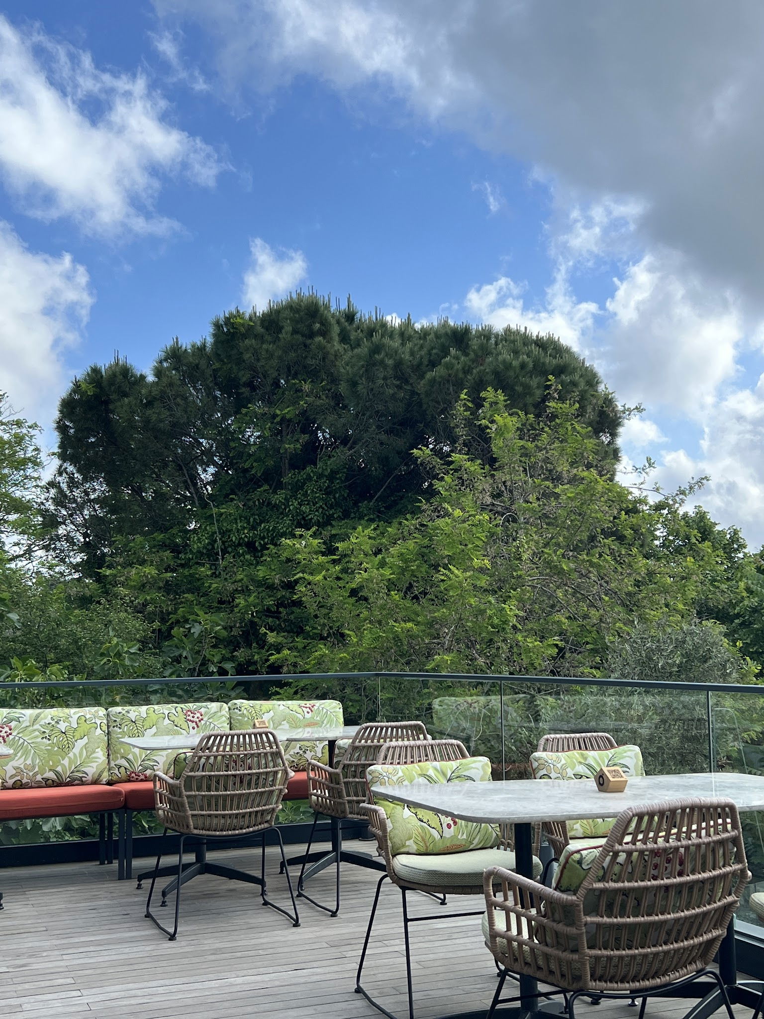 Msa Culinary School Restaurant