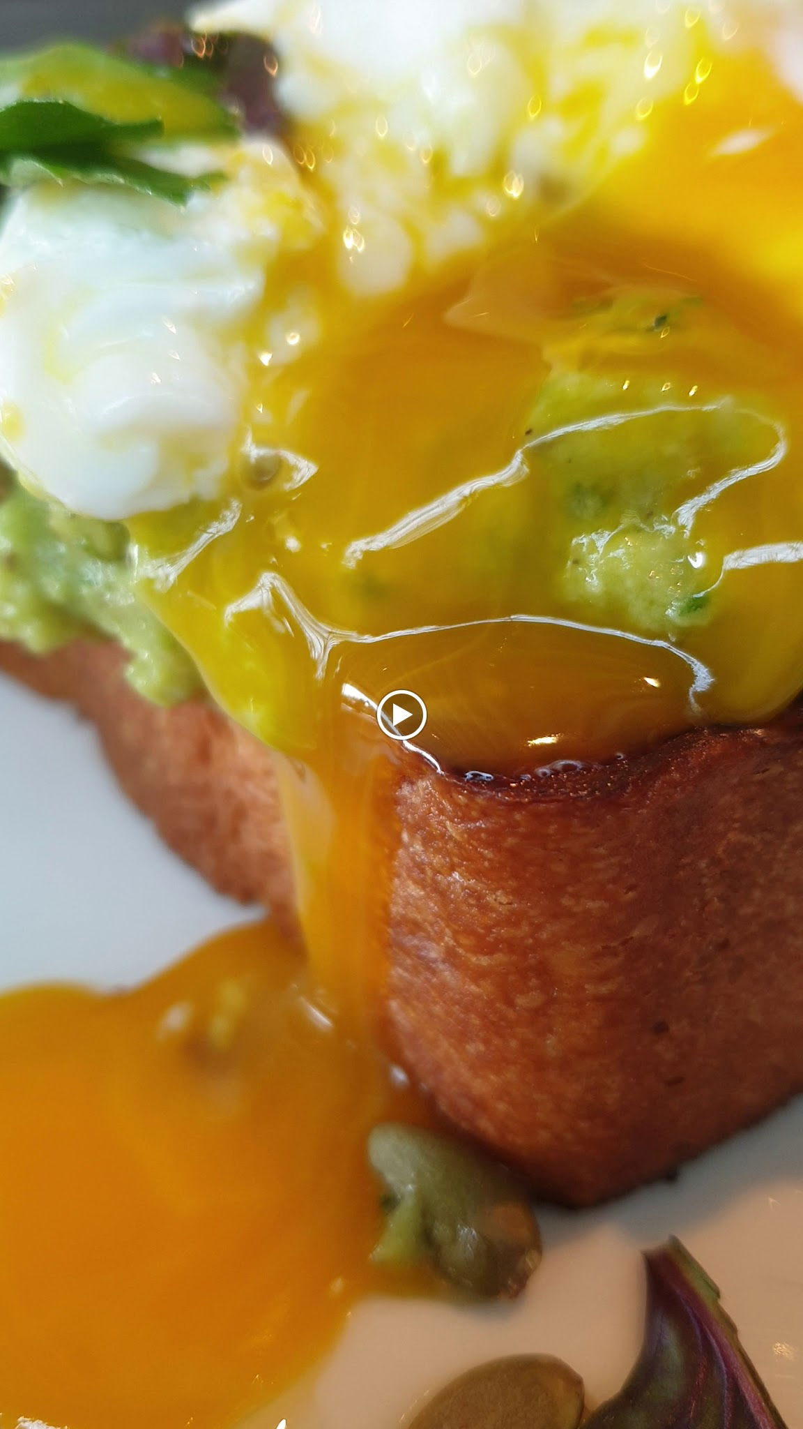 Msa Culinary School Restaurant