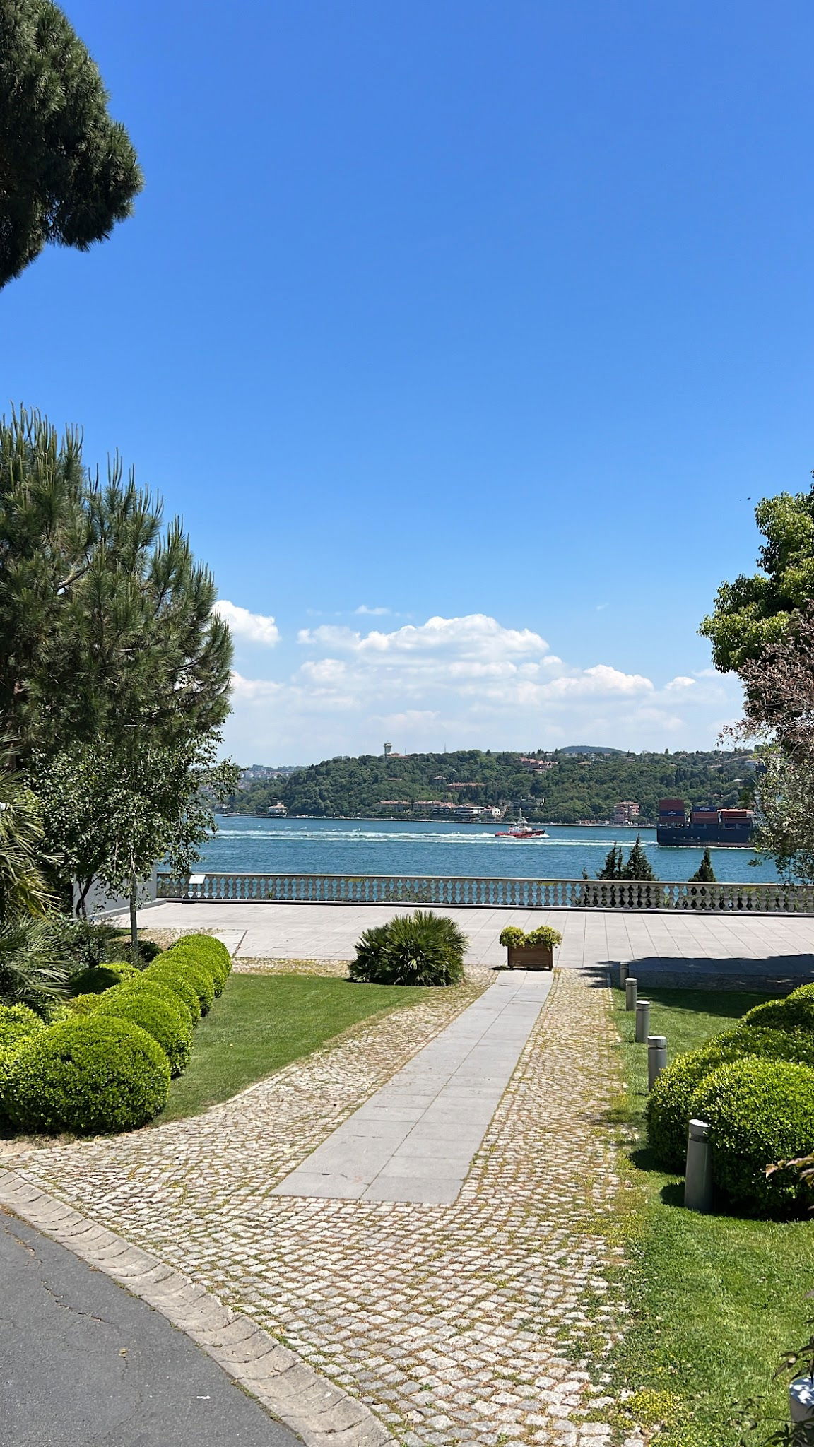 Msa Culinary School Restaurant