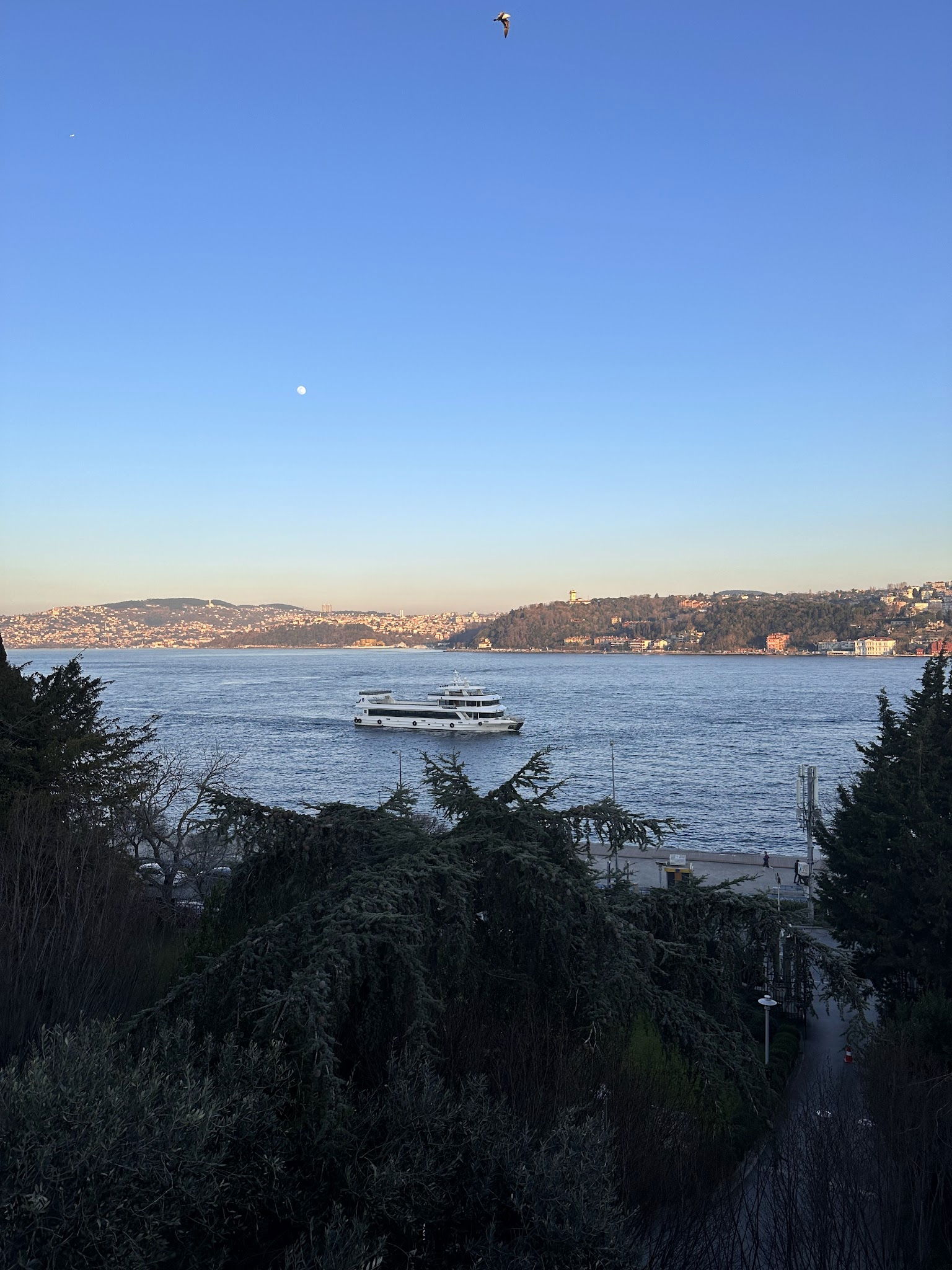 Msa Culinary School Restaurant