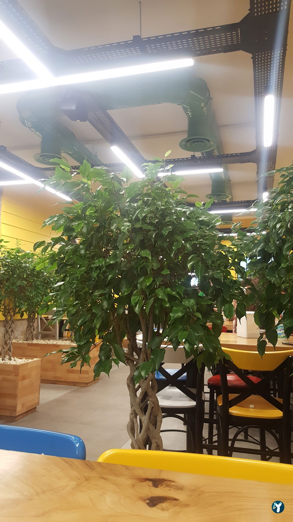 Kebo Kadıköy