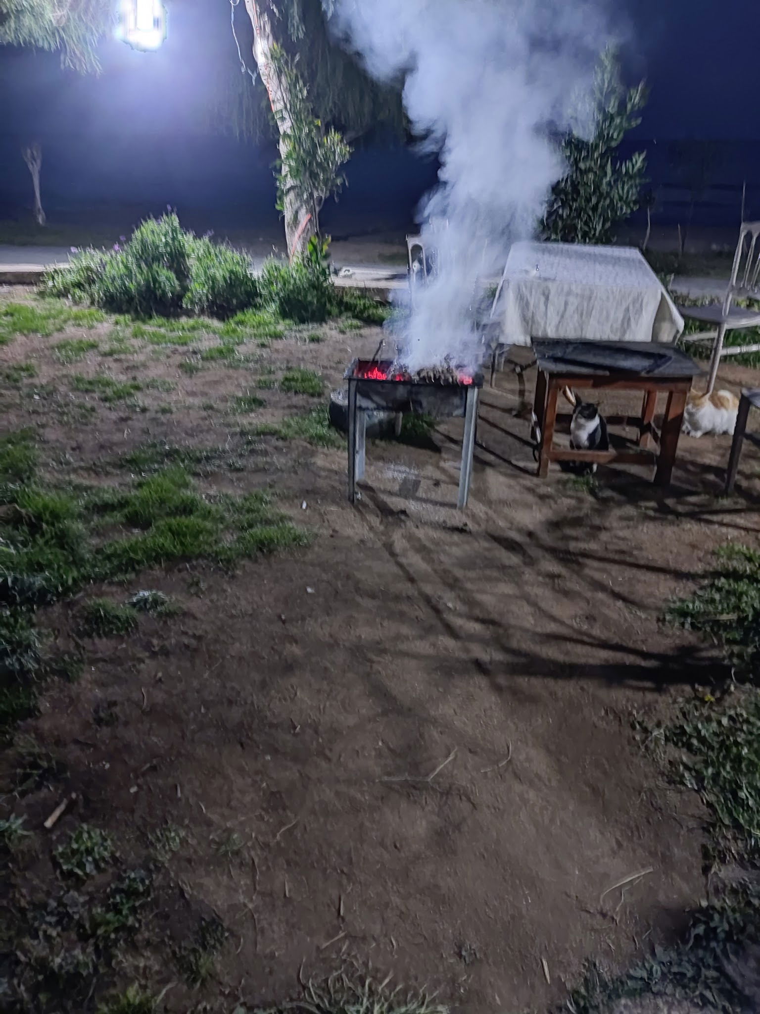 Yakamoz Cafe Ve Restorant