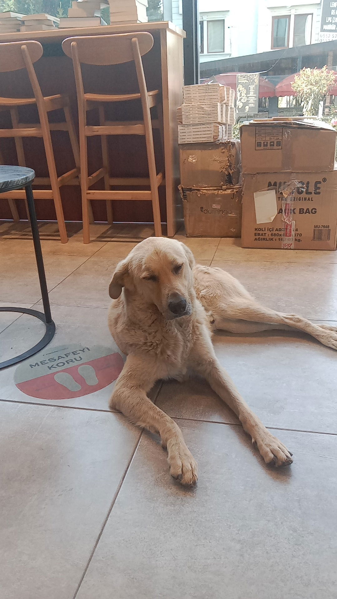 Penguen Kitabevi Tuzla