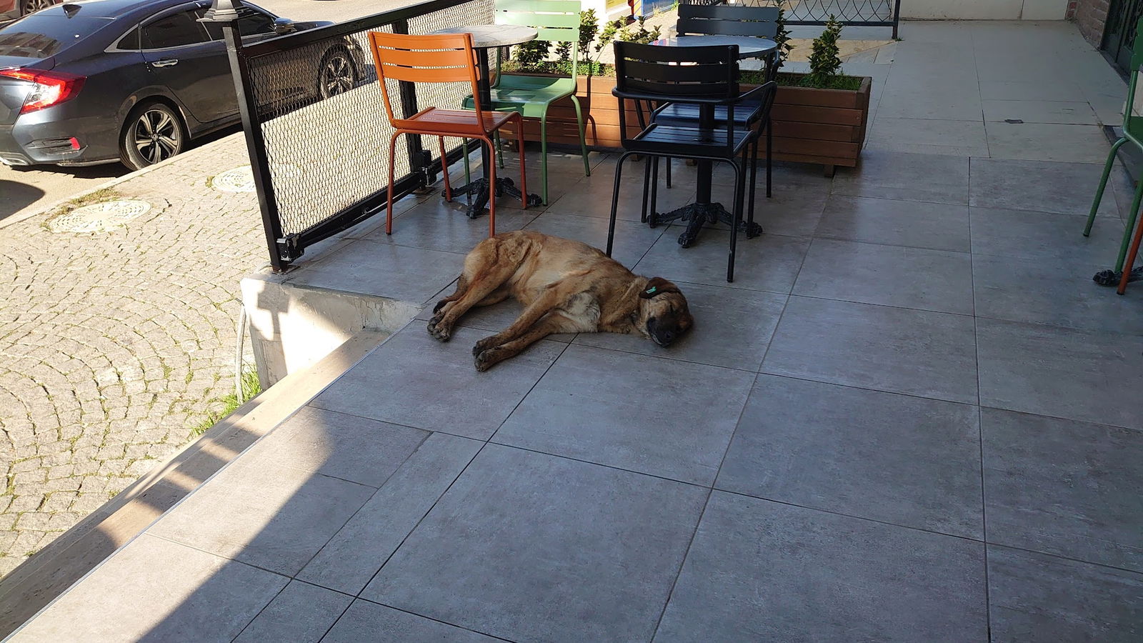 Penguen Kitabevi Tuzla