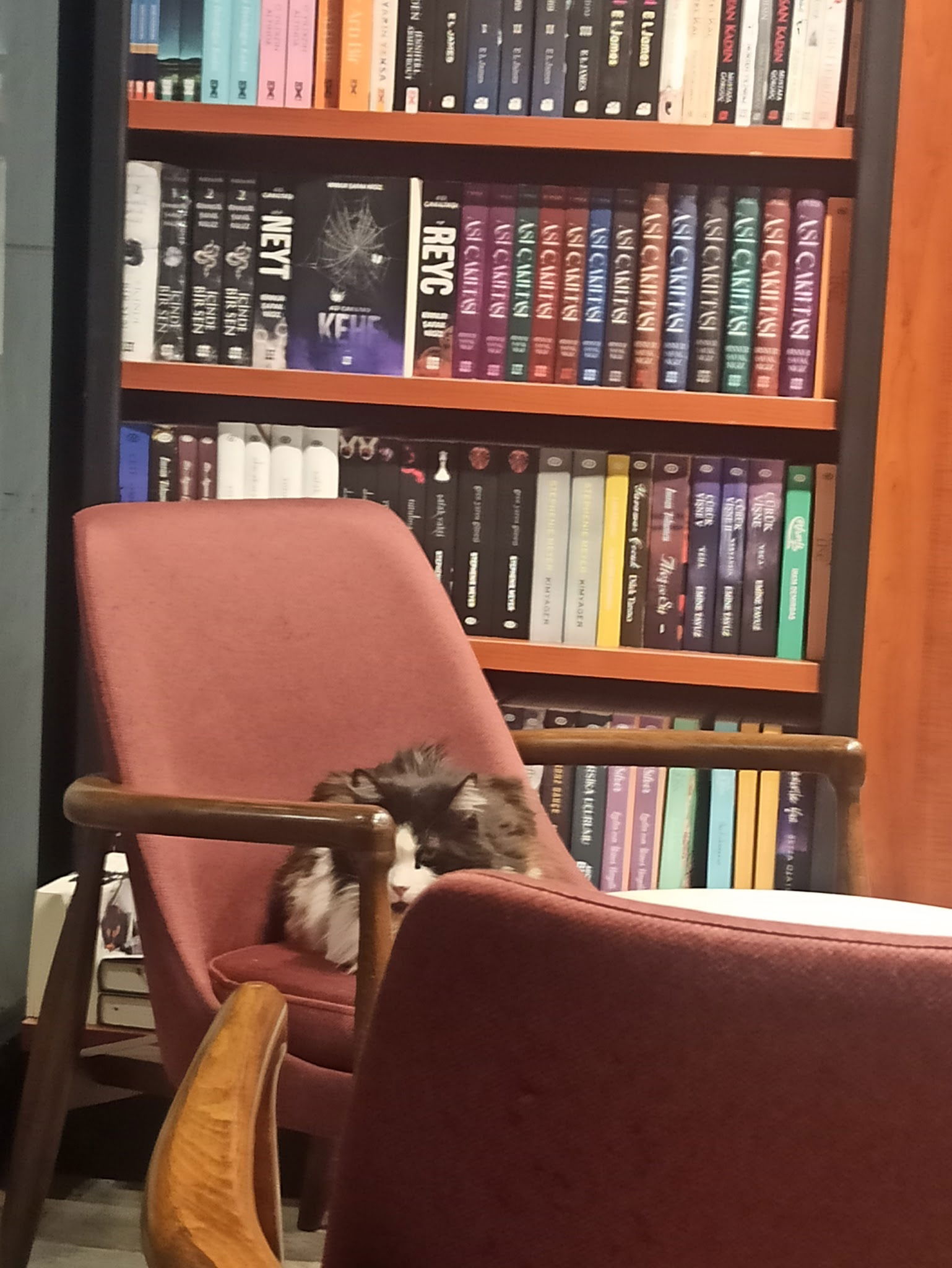 Penguen Kitabevi Tuzla