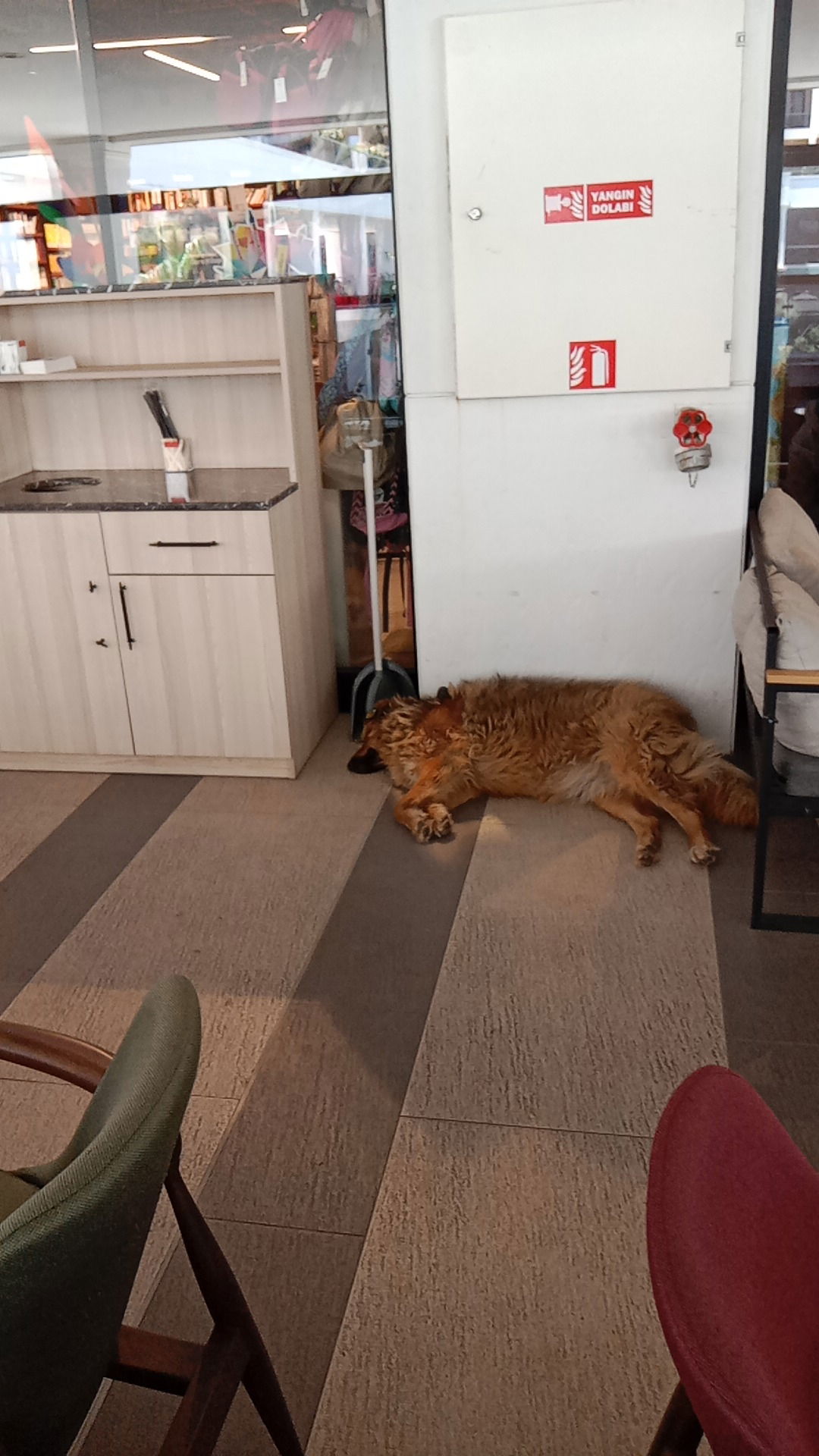 Penguen Kitabevi Tuzla