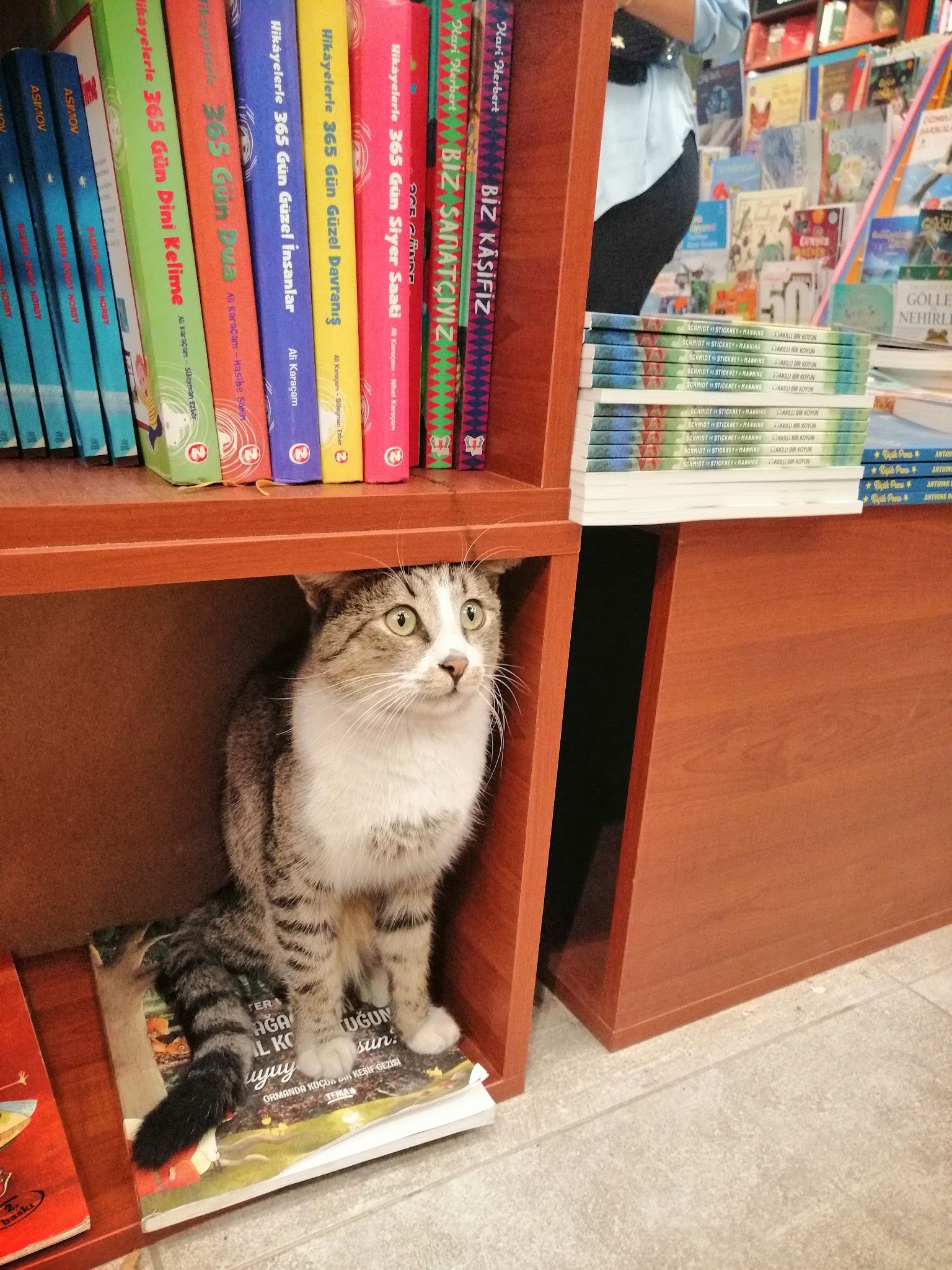 Penguen Kitabevi Tuzla