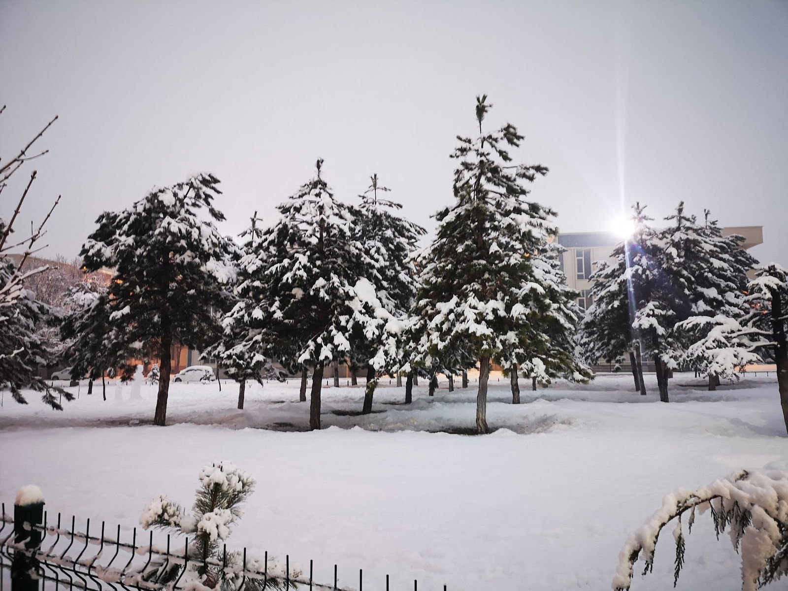 Asya Lahmacun & Kebap ( Meram)