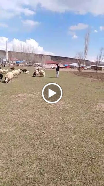 Nusret Usta Mangalbaşı