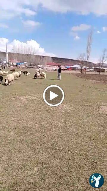 Nusret Usta Mangalbaşı