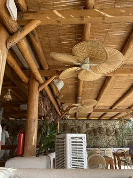 Vamos Beach resimleri