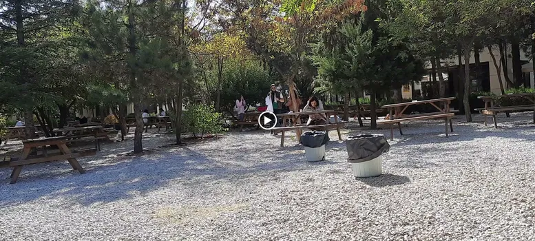 Sanat Kafe resimleri