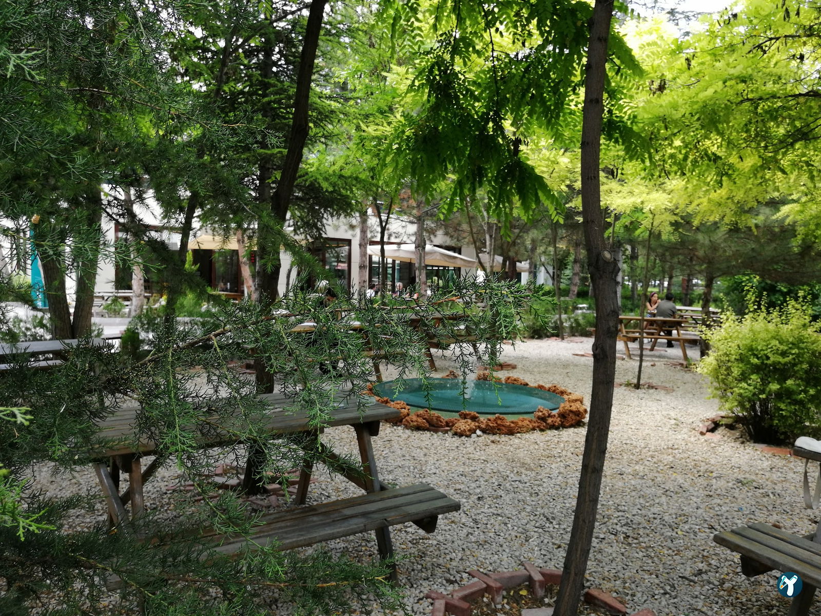 Sanat Kafe