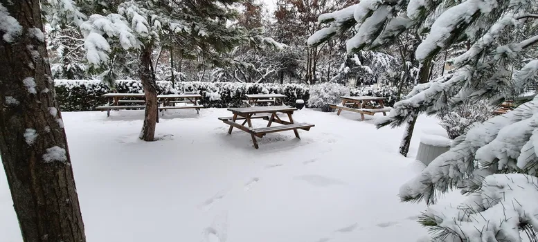Sanat Kafe resimleri