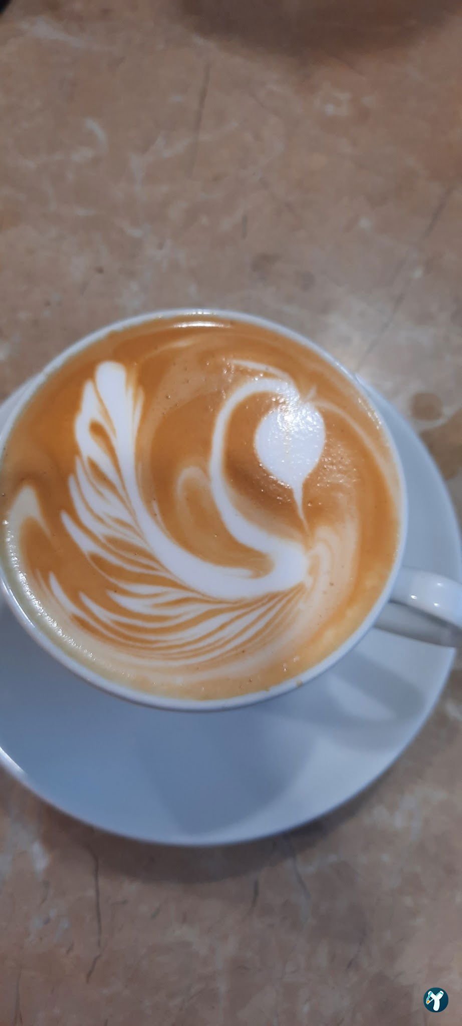 Sanat Kafe