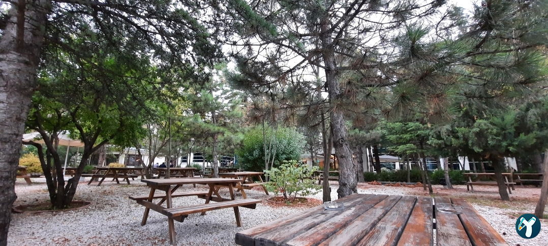 Sanat Kafe