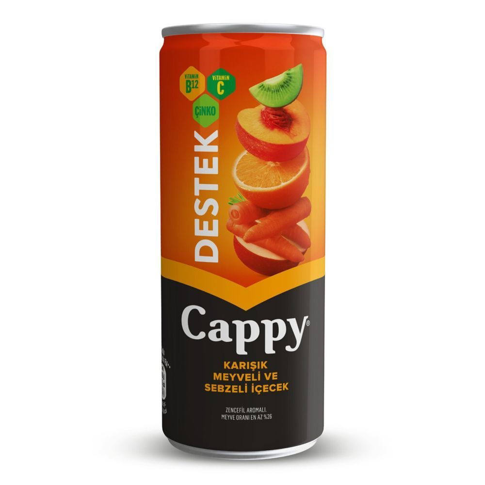 Cappy Destek Karışık Meyveli & Sebzeli (25 cl.)