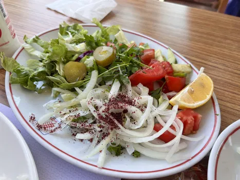 Özler Döner resimleri