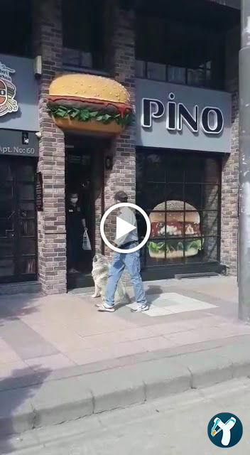 Pino