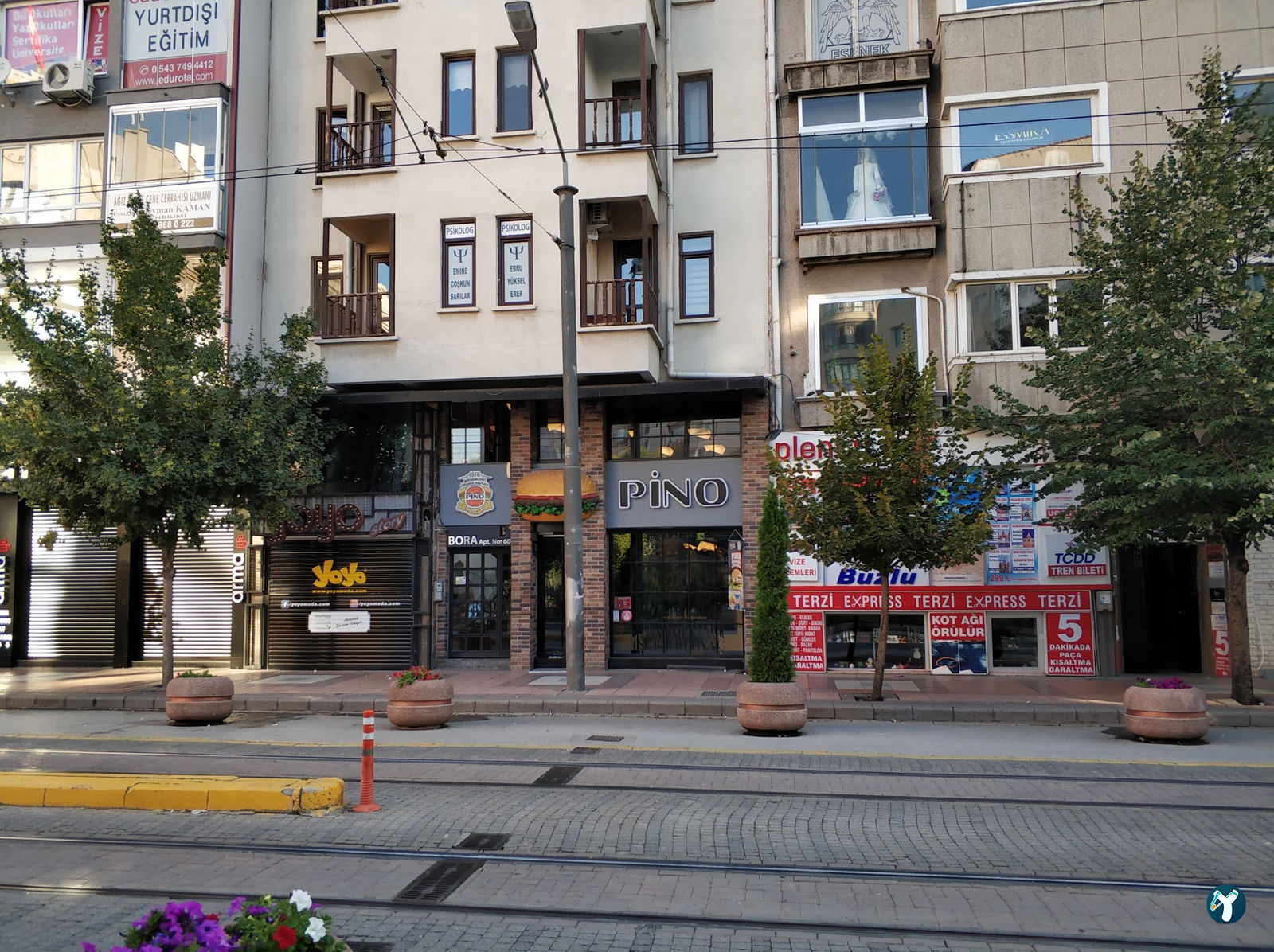 Pino