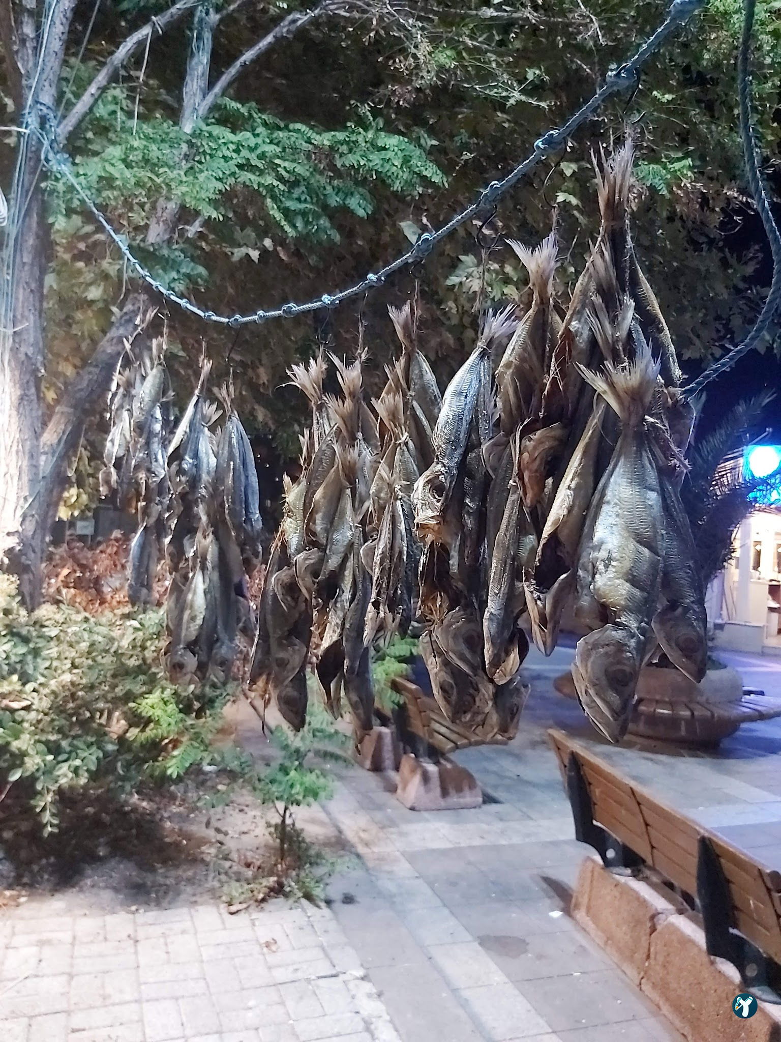 Kav Restaurant