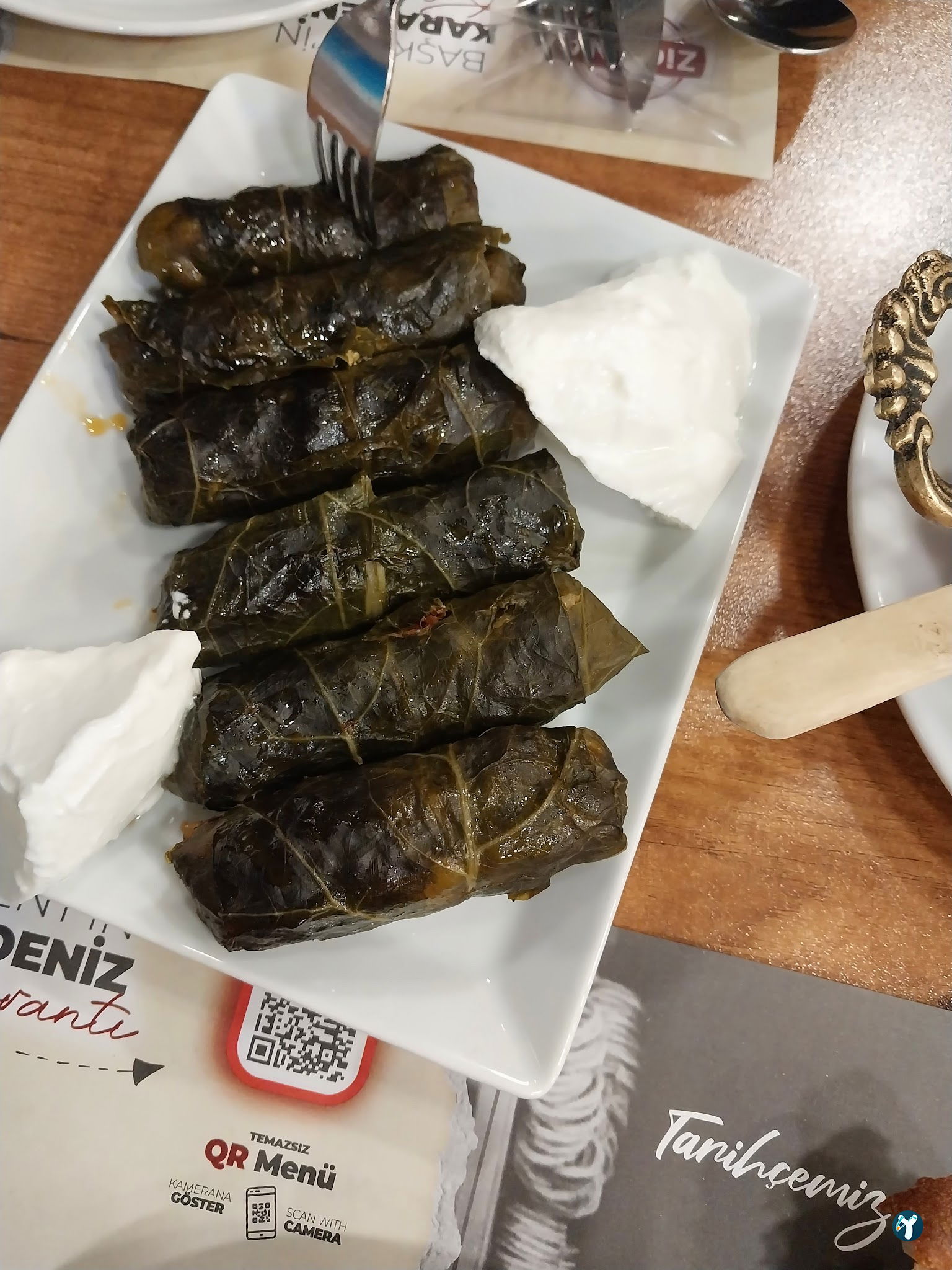 Zigana Pide
