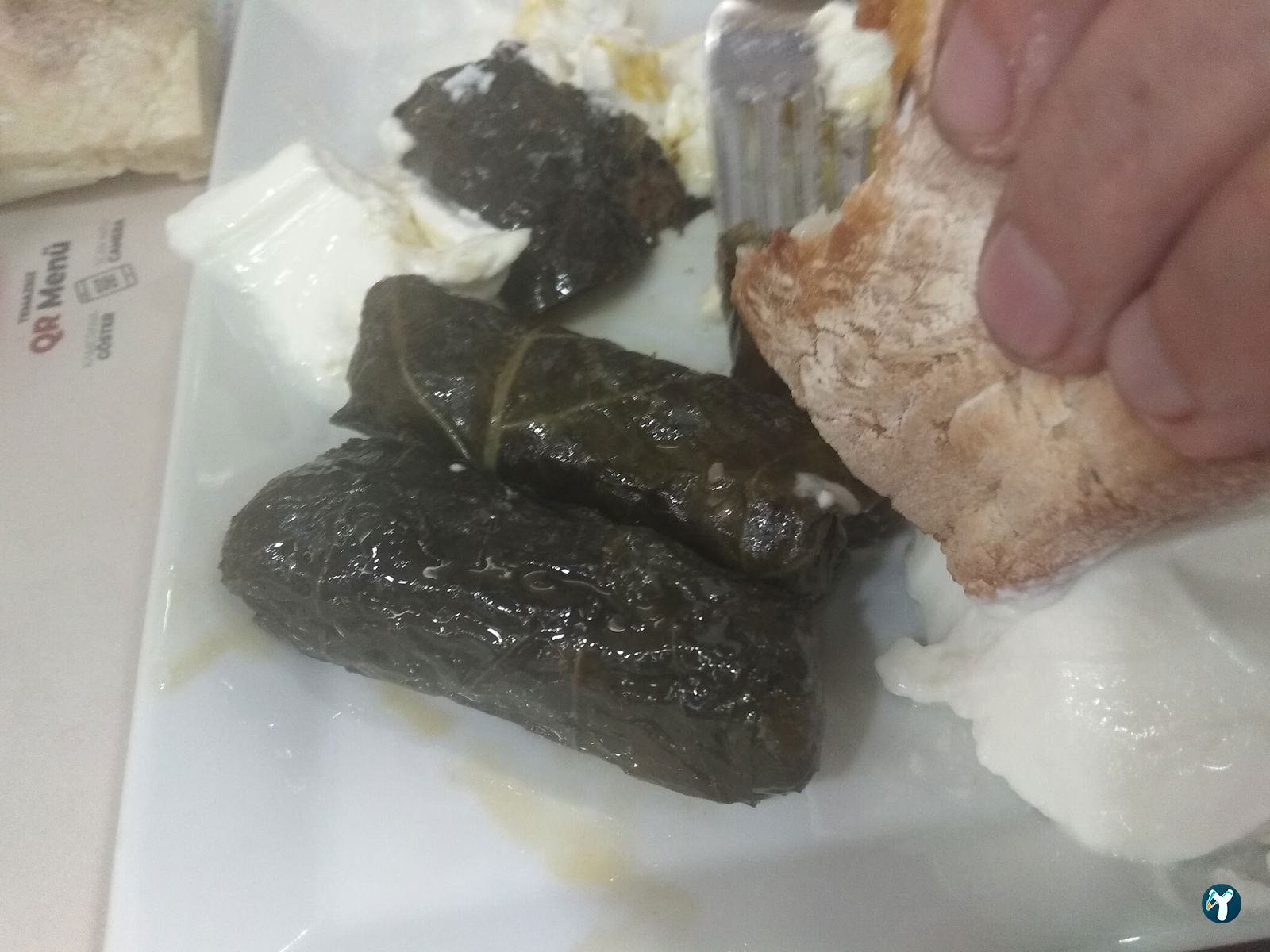 Zigana Pide