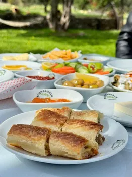 Reyhan resimleri