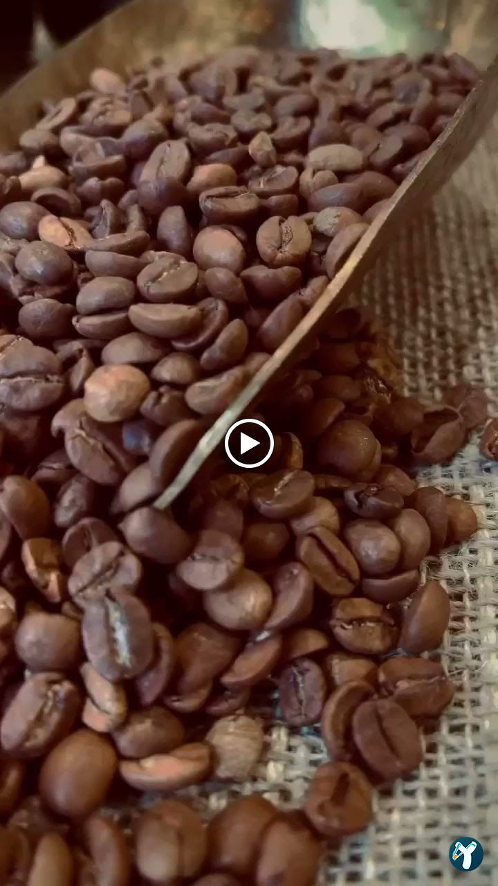 Big Been Coffee
