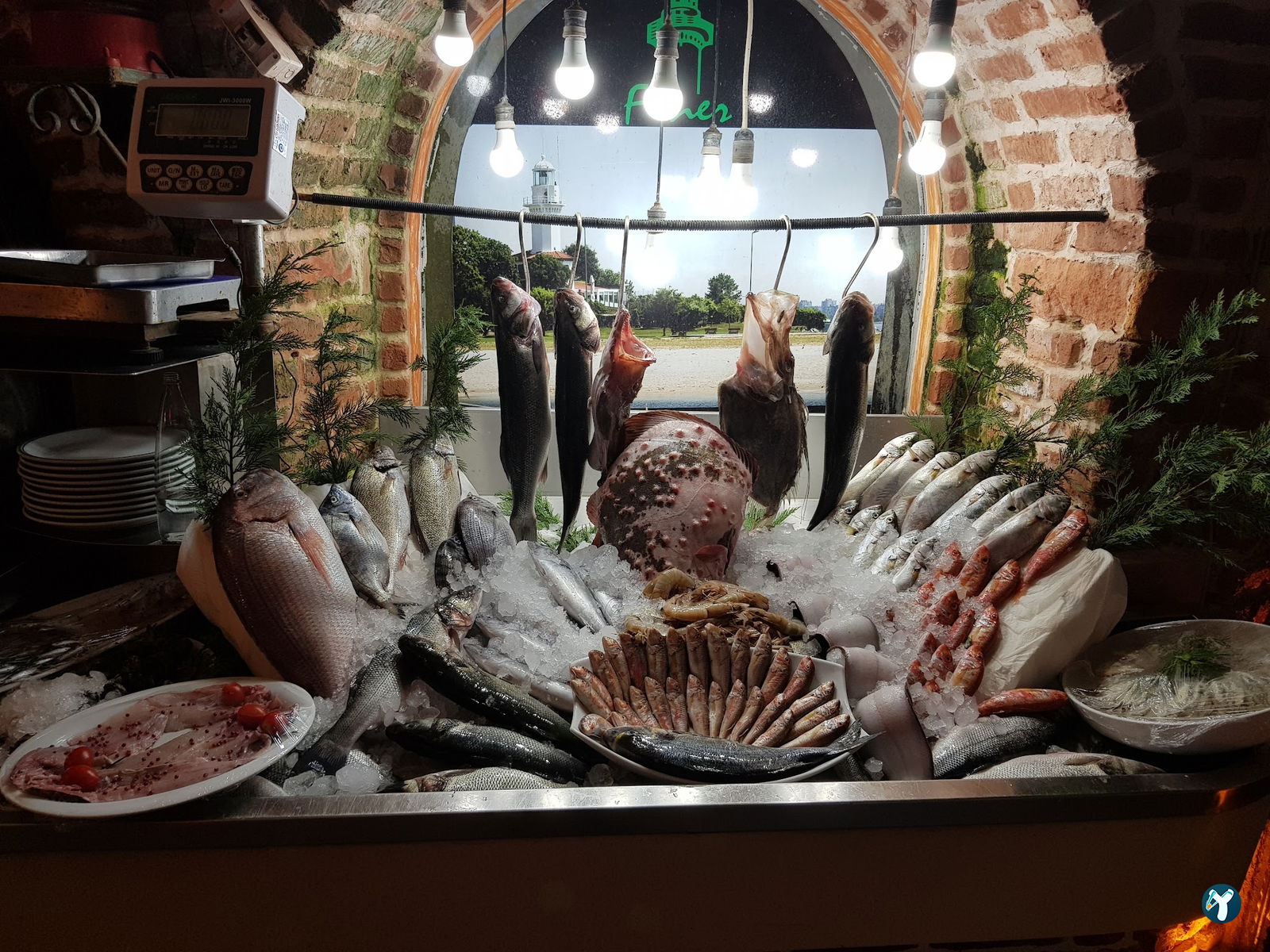 Marmara Fish Restaurant
