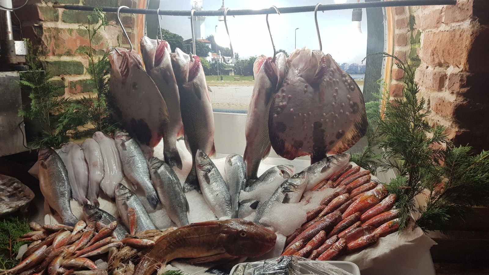 Marmara Fish Restaurant